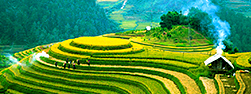 Mai Chau